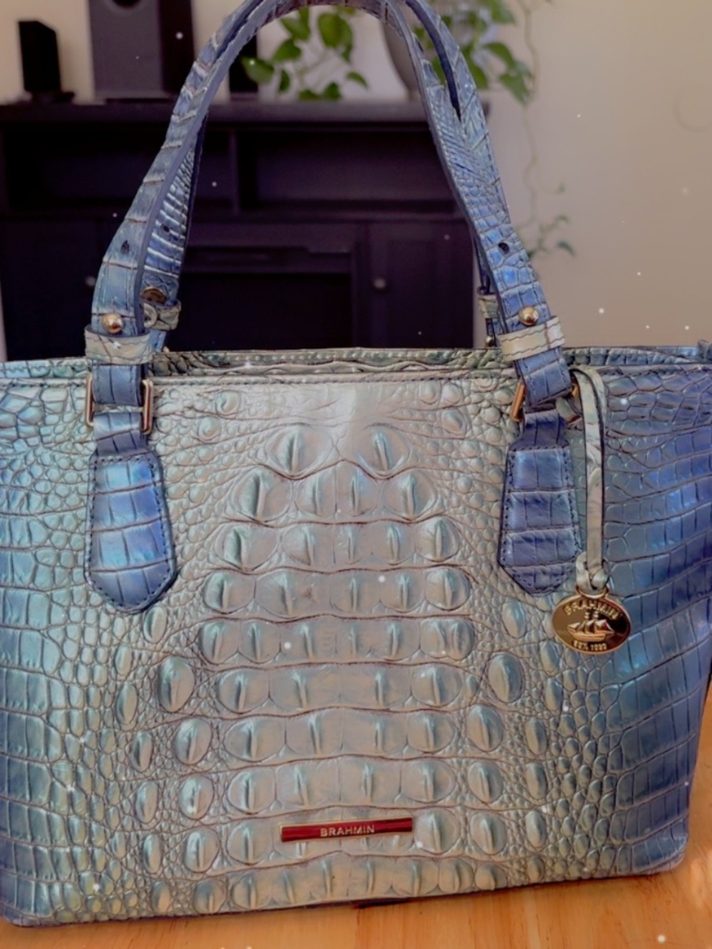 Purse